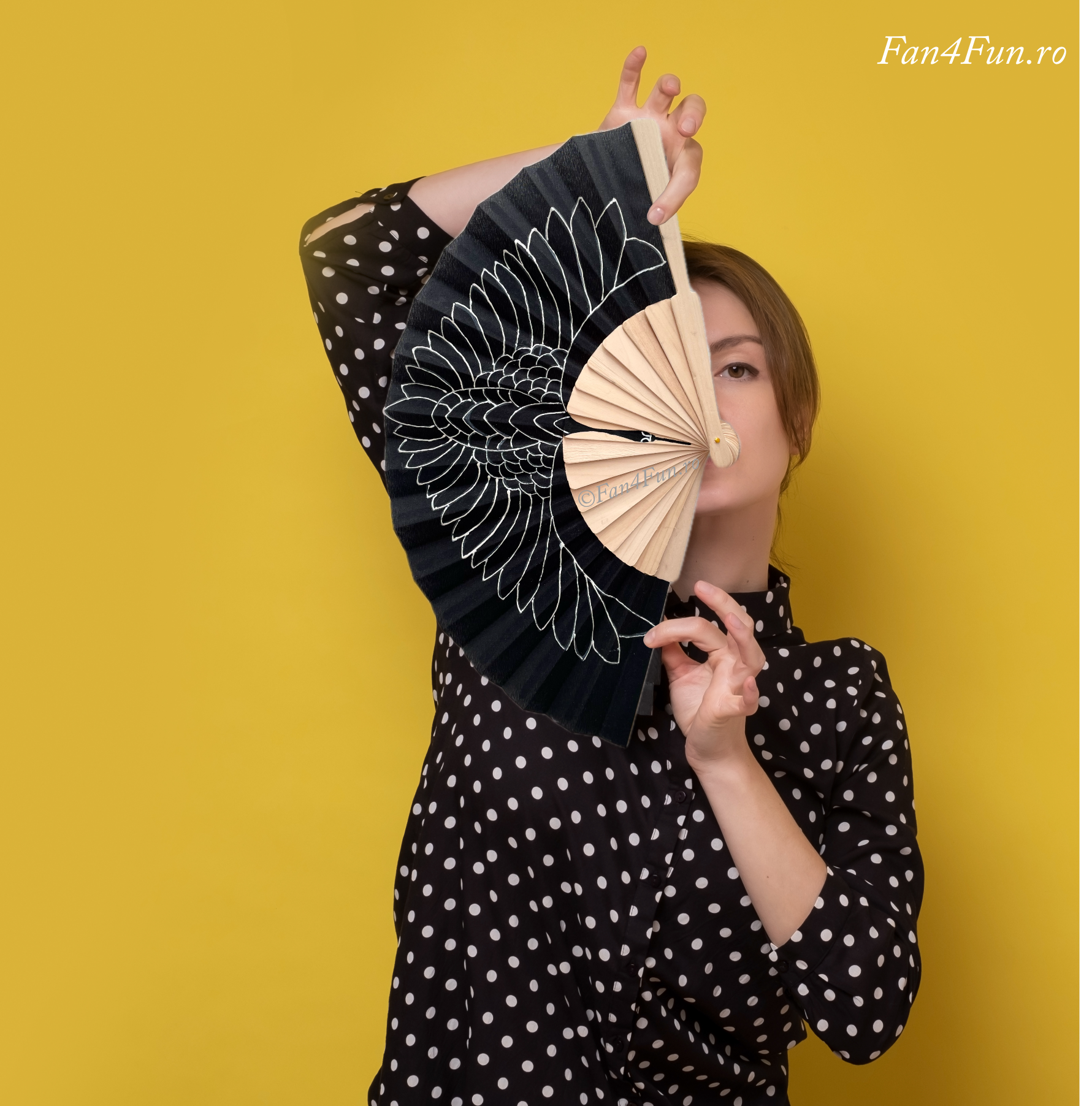 Spirit of the Crane Fan